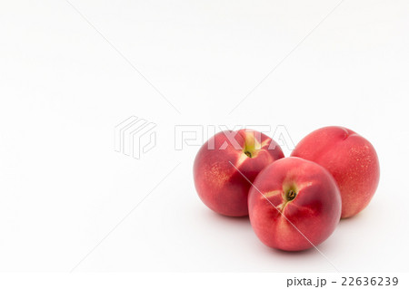 ホワイト・ネクタリン:White Nectarine 22636239