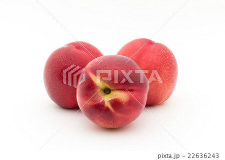 ホワイト・ネクタリン:White Nectarine ホワイト・ネクタリン:White Nectarine 22636243