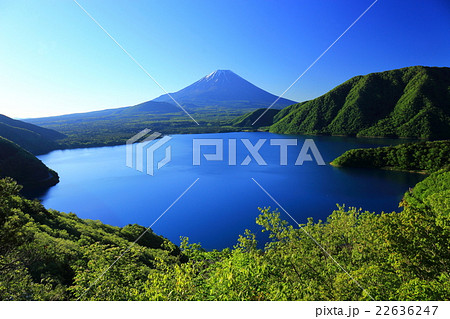 山梨県　本栖湖の中ノ倉峠からみる新緑の富士山　 22636247