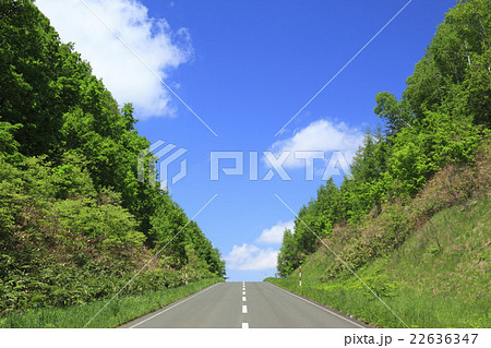 北海道　上富良野町　一本道 22636347