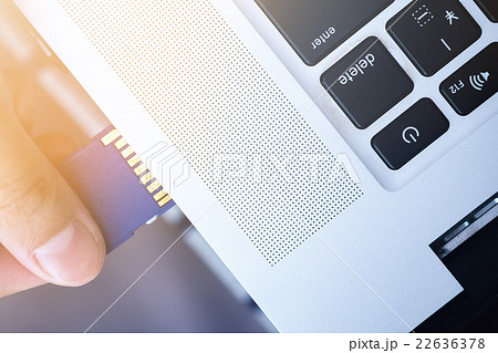 Plugging in SD Card into laptop. ready to transfer Plugging in SD Card into laptop. ready to transfer 22636378