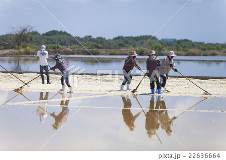 Farmer dig the salt sheet in the field 22636664
