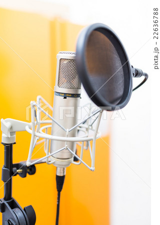 Studio condenser microphone Studio condenser microphone 22636788