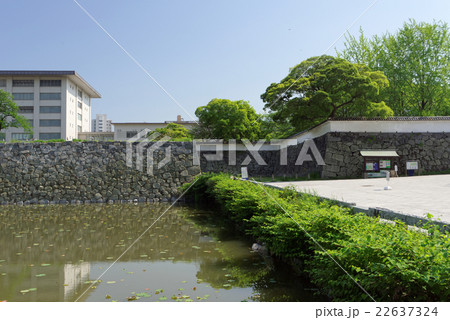 福岡城跡 お堀と石垣 22637324