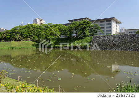 福岡城跡 お堀と石垣 裁判所 22637325