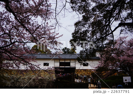 彦根城　天平櫓 22637791