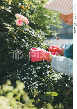 Japanese woman golfer , housewife 22638575