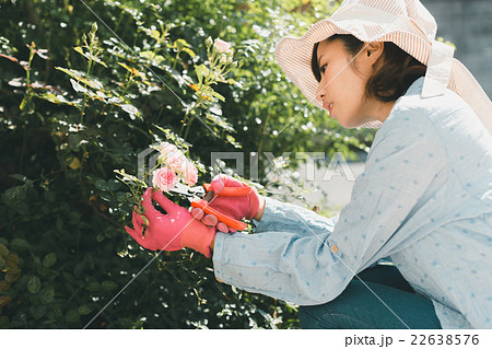 Japanese woman golfer , housewife Japanese woman golfer , housewife 22638576