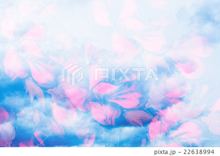 Storm clouds and flower petals. Computer collage Storm clouds and flower petals. Computer collage 22638994