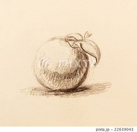 Color drawing of Fruit. Original hand draw and 22639043