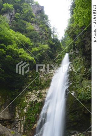 笹の滝（日本の滝百選）／奈良県　十津川村 22639121