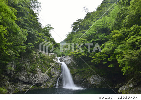 清納の滝／奈良県　十津川村 22639707