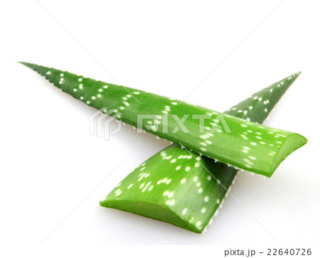 aloe vera aloe vera 22640726