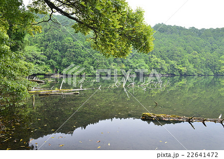 明神池／奈良県　下北山村 22641472