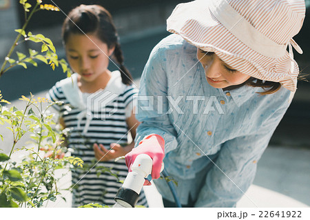 Japanese woman golfer , housewife 22641922