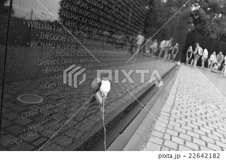 Monument and flower Monument and flower 22642182