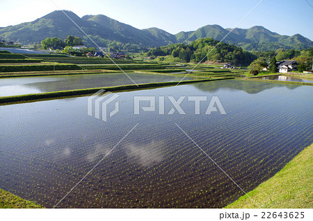 田園風景　春　水田　山並み　快晴 22643625