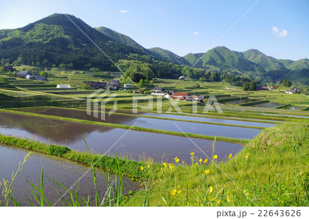 田園風景　春　水田　山並み　快晴 22643626