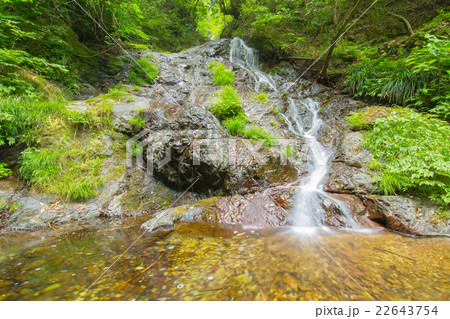 渓谷の滝 22643754