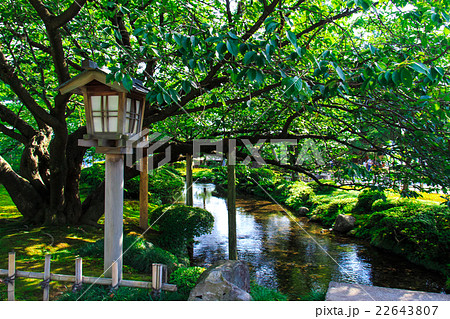 新緑の兼六園 新緑の兼六園 22643807
