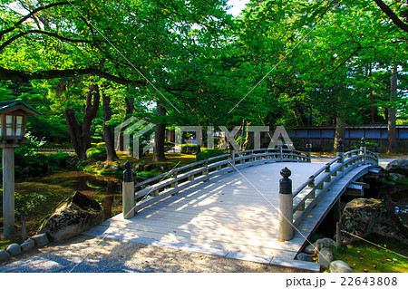 新緑の兼六園 22643808