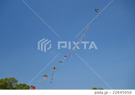 連凧と大空 22645050
