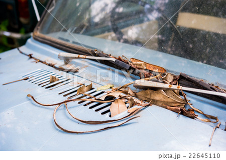 Rusty wipers on an old abandoned car Rusty wipers on an old abandoned car 22645110