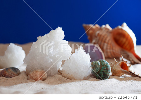 Dead Sea Salt 22645771