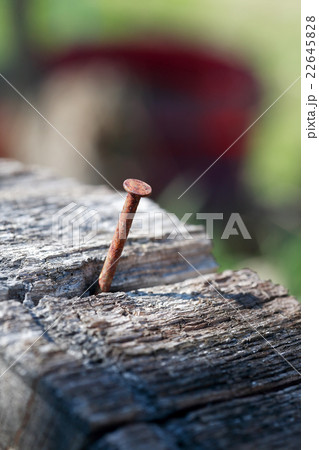 Old Rusty Nail 22645828