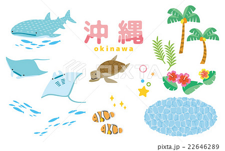 沖縄セットのイラスト素材