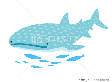 Whale Shark Stock Illustration