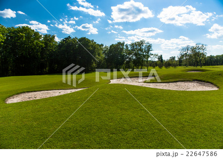 Golf course landscape 22647586