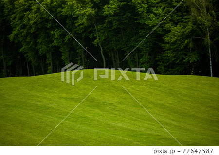 Golf course landscape Golf course landscape 22647587