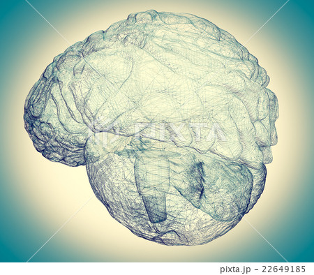 human brain human brain 22649185