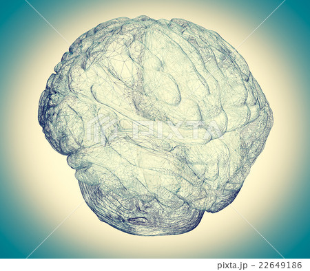 human brain human brain 22649186