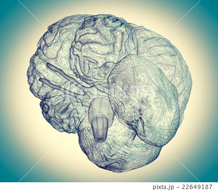 human brain human brain 22649187