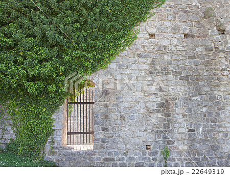 Background of stone wall and ivy Background of stone wall and ivy 22649319