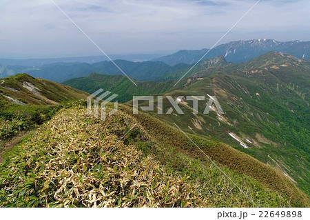 谷川連峰・蓬峠周辺の風景 22649898