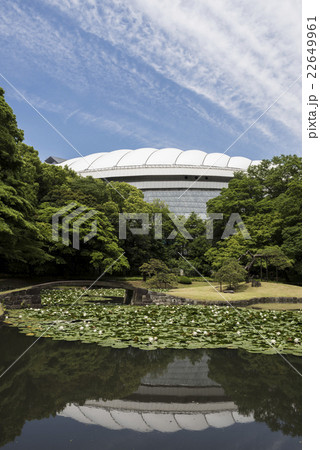 小石川後楽園の睡蓮と東京ドームの屋根の写真素材