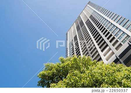 タワーマンション 22650337