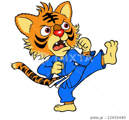 空手キッズ 22650480