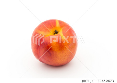 イエロー・ネクタリン:Yellow Nectarine 22650873