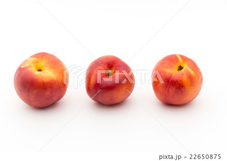 イエロー・ネクタリン:Yellow Nectarine イエロー・ネクタリン:Yellow Nectarine 22650875
