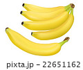 バナナ 22651162