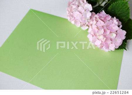 あじさい 22651284