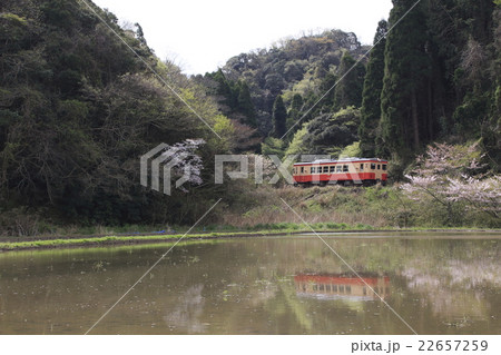 いすみ鉄道キハ形の写真素材