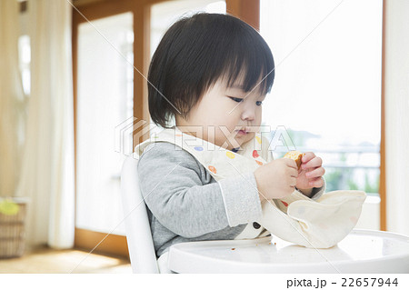 1歳2ヶ月 22657944