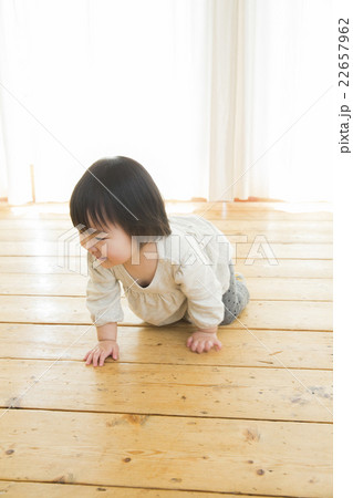 1歳2ヶ月 22657962