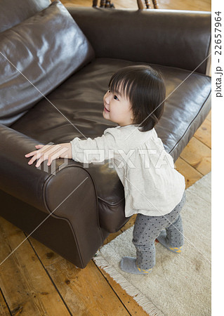 1歳2ヶ月 22657964
