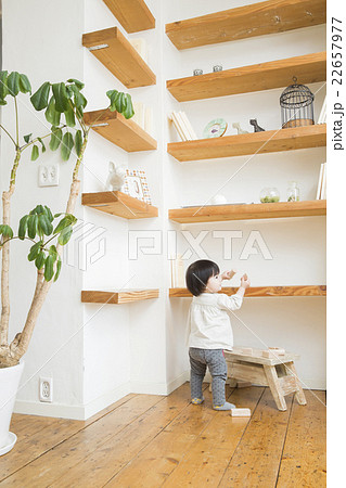 1歳2ヶ月 22657977